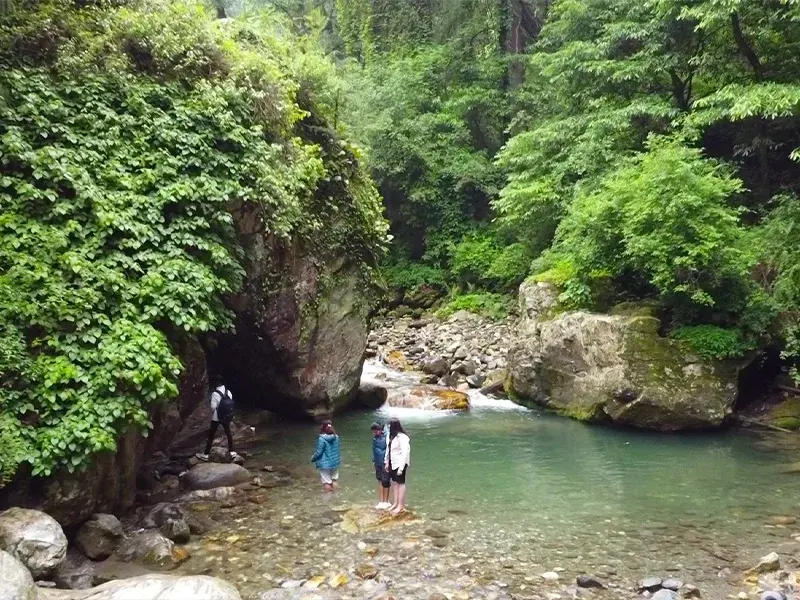Jibhi Tour Package
